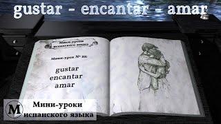 N° 22: gustar - encantar - amar