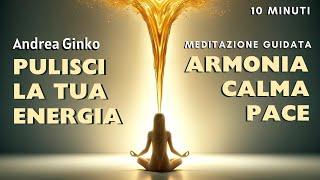  PULIZIA ENERGETICA Trova pace, calma ed armonia grazie a questa breve meditazione Prana Amorevole