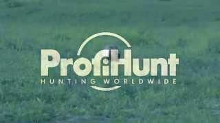 Kamchatka brown bear hunting 2015 with ProfiHunt