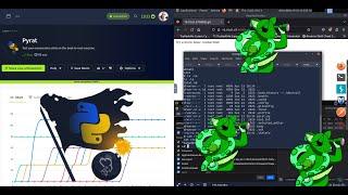 Pyrat TryHackMe 