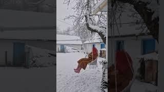 Swinging Through the Snow. Winter Magic Outdoors! ️