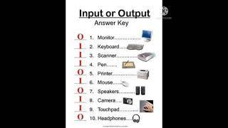 input and output devices |by learn computer skills