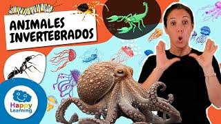 Animales Invertebrados para Niños 🪱 | Con Lenguaje de Signos | @HappyLearningES