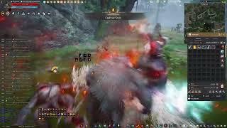 BDO | Awakening Wizard - 1 Hour Grind at Tunkuta