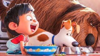 Nuevas Películas Animadas 2019 | Comedia Animada | Película Completa en español Latino