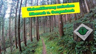 Wanderung auf dem Siebentälerweg zwischen Biberach und Gengenbach 