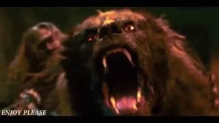 WereWolf or WereBear ? Fight Scene HD