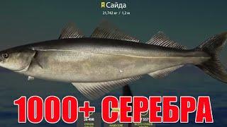 1000+ СЕРЕБРА ЗА ЧАС БЕЗ СТАВОК! БЕЗУМНЫЙ ФАРМ СЕРЕБРА на Норвежском море в Русской Рыбалке 4!