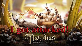 I got attacked! - The Ants: Underground Kingdom