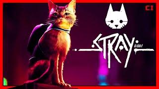 Stray - Jogo Completo (Gameplay Sem Comentários) PT-BR do Inicio ao Fim | Playthrough