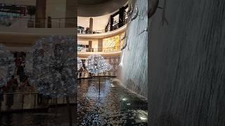 Dubai Mall waterfall By Tahir Gul Vlogs #dubaimallwaterfall @tahirgul