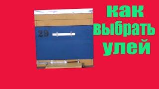 Какой улей выбрать. Как выбрать улей начинающему пчеловоду. Пчеловодство. Пчелы. Пасека