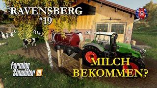 RAVENSBERG #19 - MILCH BEKOMMEN? - Farming Simulator 19 Let's Play FS19 with SEASONS