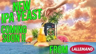 New IPA yeast From Lallemand