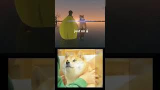 RIP Doge Dog - goodbye Kabosu #sad #rip #doge #kabosu #memes