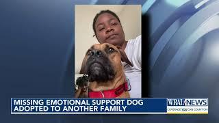 Search for emotional support dog a frustrating battle for Raleigh family