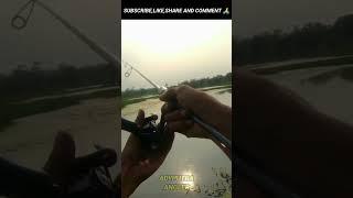 Strike Gabus/Haruan di spot dangkal endingnya bikin ngakak #mancing #ikan #gabus