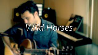 The Rolling Stones - Wild Horses Acoustic Cover by Tom Butwin (24/52)