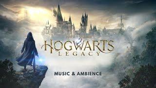 Harry Potter Ambient Music | Hogwarts Legacy | Relaxing, Studying, Sleeping