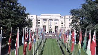 Member States of the World Health Organization have had a crucial role throughout WHO's history