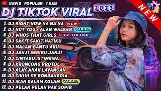 DJ TIKTOK TERBARU 2023 - DJ RIGHT NOW NA NA NA X NOT YOU X WHOS THAT GIRL REMIX  TIK TOK FULL ALBUM