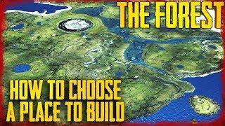 10 TIPS ON CHOOSING A PLACE TO BUILD IN THE FOREST!