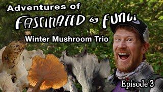 Adventures of Fascinated By Fungi: Foraging for the Edible Winter Mushroom Trio on the Sonoma Coast