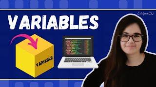 What is a Variable? | Programming Basics