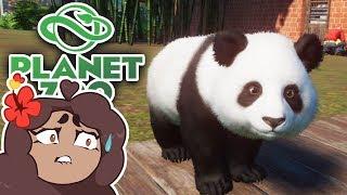 Our Panda Cub's Fight for SURVIVAL!!  Daily Planet Zoo! • BONUS Day 51