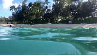 Shark's eye view of Kailua beach.