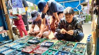 LAPAK JURAGAN KALIMAYA TERMURAH || PASAR CURUG TANGERANG