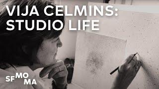 Vija Celmins on her life in (and out of) the studio