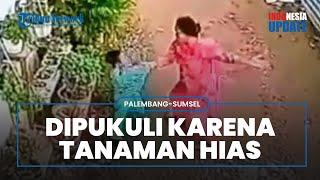 Viral Video Bocah 4 Tahun Dipukul dan Dianiaya Ibu ibu, Kesal Tanaman Hias Pelaku Dirusak