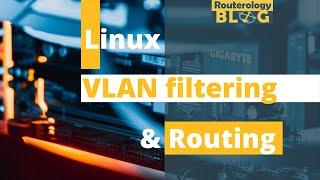 VLAN filtering and routing