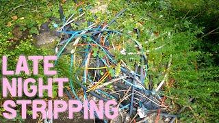 The Aftermath  |  Litter picking ep.120