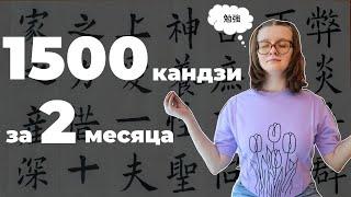 42. Выучила 1500 кандзи за 2 месяца еще раз про метод KanjiDamage