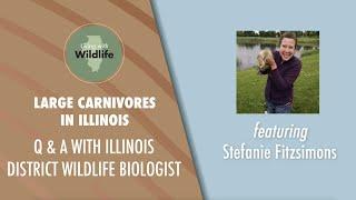 Large Carnivores in Illinois: Q&A with Illinois District Wildlife Biologist Stefanie Fitzsimons