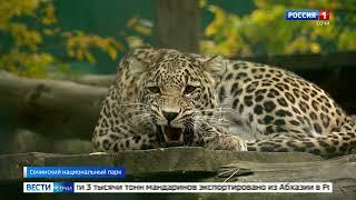 Work of the Leopard Breeding Center