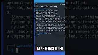 How to install Python on Kali Linux