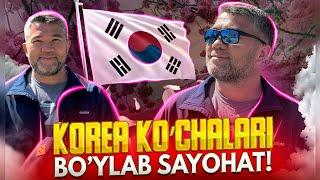 KOREA | SEUL BO`YLAB SAYOHAT QILAMIZ ! O`ZBEKLAR KOREYADA QANDAY TAOMLANASHADI ? SEUL KO`CHALARI