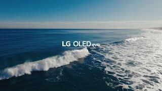 2024 LG OLED evo | El mejor OLED