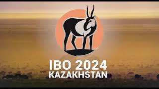 IBO 2024 promo