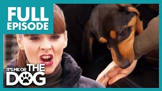 Rottweiler Bites Victoria during Training | Full Episode | It's Me or The Dog