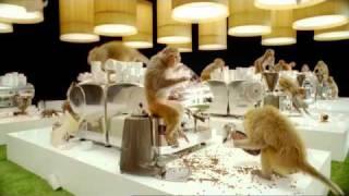 Costa Coffee TV Advert - Monkeys and typewriters