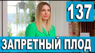 ЗАПРЕТНЫЙ ПЛОД 137 СЕРИЯ (YASAK ELMA) Русская озвучка. Обзор