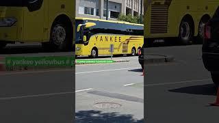 # yankee yellow bus Packard corner