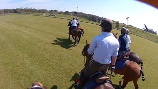 Polo Pony Practice - Chukkers in the Park | Equestrian