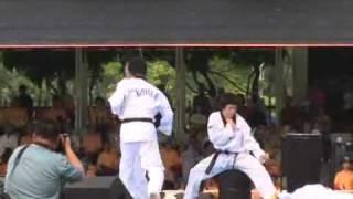 Taekwondo Demonstration 5 : Self Defence