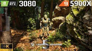 Unreal Engine 5 Broadleaf Forest Biome | 4K RTX 3080 10GB | Ryzen 9 5900X