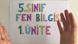 5. Sınıf Fen Bilgisi 1. Ünite Tekrarı (Yazılı Hazırlık) /Güneş, Dünya ve Ay